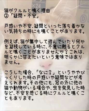 猫がクルルと鳴く理由とその心理