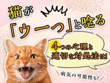 病気の可能性も！】猫が「ウーっ」と唸る4つの心理と適切な対処法は！