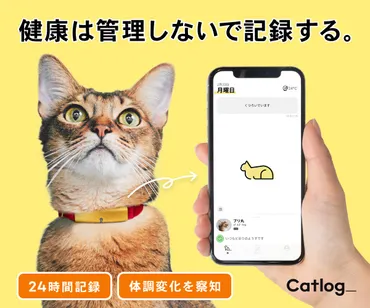 mofoo ～モフー～お洒落 猫生活マガジン～【猫情報】mofoo ～モフー～猫生活マガジン