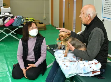 災害とペット：能登半島地震と大船渡市火災から学ぶ、ペット防災の重要性とは？被災ペットの現状と課題：災害時のペット対応を考える