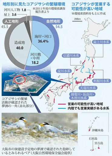 人間が整えた場所で繁殖 開発に待ったかける？ コアジサシ保護どうする 