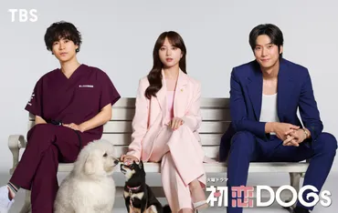 清原果耶主演『初恋DOGs』TBSで7月期放送 成田凌が獣医に、ナ・イヌが日本ドラマ初出演
