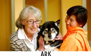 行き場を失った動物たちと新しい家族をつなぐ、 動物保護団体アニマルレフュージ関西の思い 
