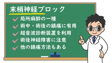 末梢神経ブロック:どんな麻酔？どんな手術で行われるの？安全性は？ – 株式会社プレシジョン