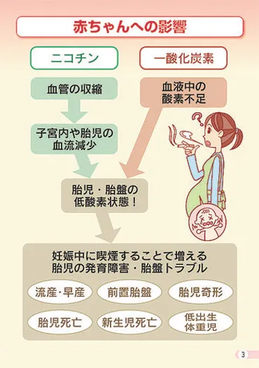 喫煙、妊娠・出産、育児に悪影響