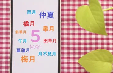 5月の別名どれだけ知ってる？ 代表的な「皐月」の由来からその他の異名まで【日本語の雅を味わう】 