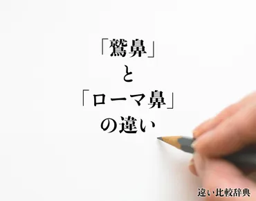 鷲鼻」と「ローマ鼻」の違いとは？分かりやすく解釈 