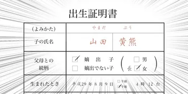 キラキラネーム、みんなの思い「親のせいで一生苦しむ」「親の愛情が反映されている」 