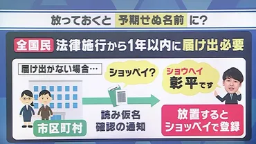 戸籍法が改正されたら注意を…「自分の名前の読み方」行政に届けず放っておくと゛予期せぬ名前゛になる事も 