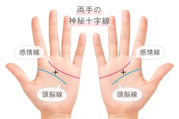 神秘十字線は強運の証し？ 意味と特徴別の見方【手相占い】