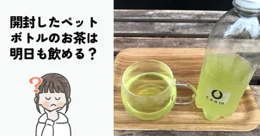 ペットボトル飲料、腐るってホント？(疑問形)飲み終えた後の保存方法とは！？