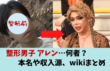 整形男子アレン、パトロンからの支援で全身整形！その目的とは？整形依存症の末路とは！？