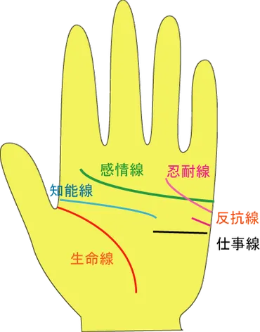 反抗線の手相！あなたの性格と運命を解き明かす？反抗線とは！？