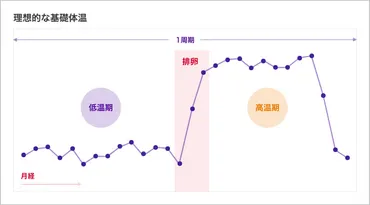 医師監修】妊活に大切、かくれ生理不順に要注意！ 