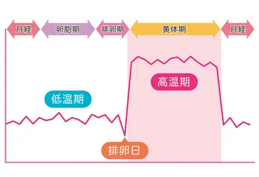 妊娠検査薬はいつから使える？タイミングとポイント！ 