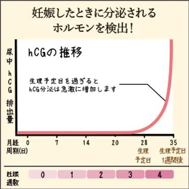 徹底解説】妊娠検査薬はいつから使える？どんな仕組み？ 