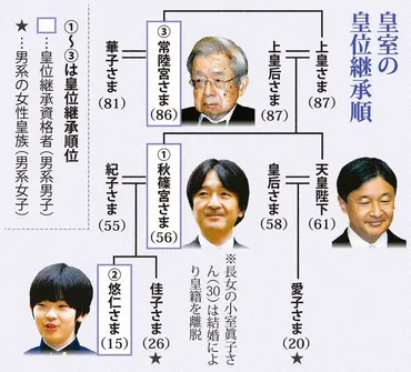 皇位継承」実質棚上げ 皇族数確保に終始 有識者会議最終答申 