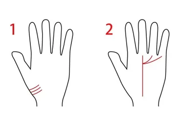 カリスマ線は本当に存在する？手相の秘密とは！？