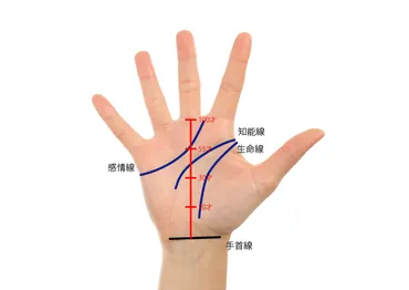 手相占い】運命線×流年法で見る今とこれからの運勢 切り替わる線は転機が訪れる暗示！ 