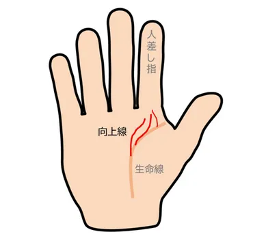 向上線がある手相ならあなたは努力型？ その意味と見方を占い師が教えます 