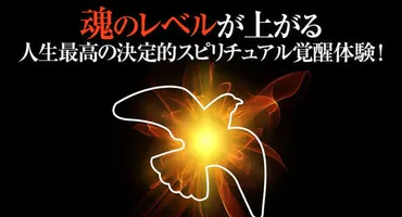 魂レベルの高い人になる！】魂が綺麗な人の特徴とは？ スピリチュアル人生最高に魂を磨き、魂が成長する覚醒体験を約束（最も魂のレベルが上がる時。魂の統合と浄化）  