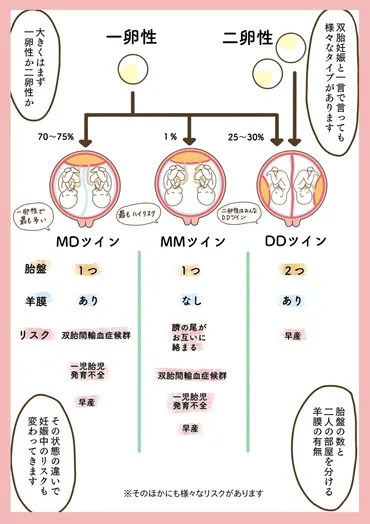 膜性診断でわかる双子妊娠のリスクとは