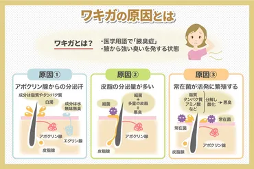 ワキガの原因、対策と治療法について 