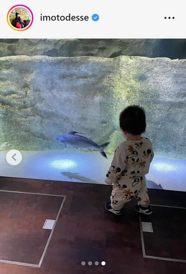 イモトアヤコ、１歳息子に水族館で「アマゾンマウント」 「イモトさんにしかできない」の声 