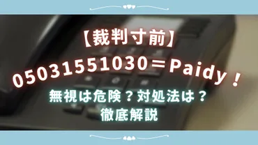 Paidyの督促電話！05031551030ってホントに怖い？Paidyからの取り立てってヤバイ!!?