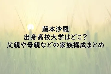 藤本沙羅の出身高校大学はどこ？父親や母親などの家族構成まとめ – Freeman blog