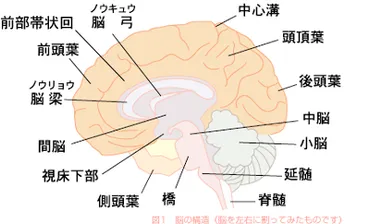 芸能人のメンタルヘルス？芸能界と精神疾患の関係とは!?