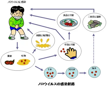 ノロウイルスによる食中毒・感染症胃腸炎