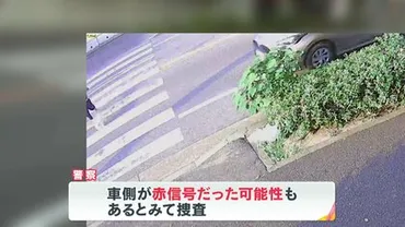 愛犬がひき逃げで事故死 母娘の悲痛な訴え「あさひくんに会いたい」手作りの看板で情報提供呼びかけ