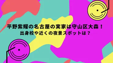 平野紫耀の実家は名古屋のどこ？豪邸って本当？平野紫耀の実家、意外すぎた!!