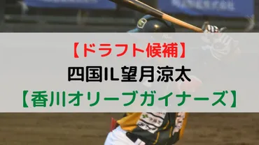 ドラフト候補】四国IL望月涼太【香川オリーブガイナーズ】 