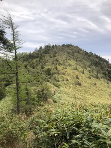 大川入山 往復コースの地図・登山ルート・登山口情報 