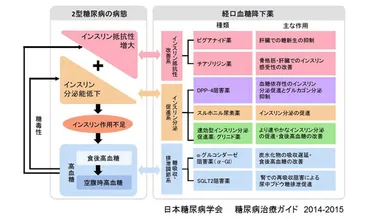 2型糖尿病で使われるお薬について