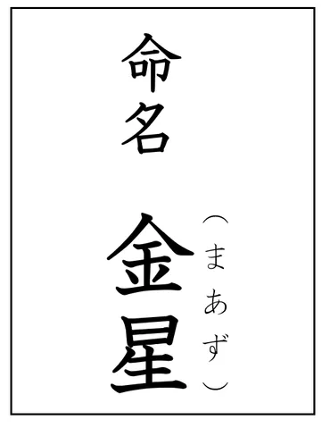 輝星（べが）君の改名問題」について考える – 新宿会計士の政治経済評論