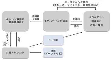 あの人気CM女優は誰？】ビール業界のCMキャスティング戦略 