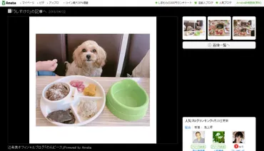 辻希美、愛犬同伴の焼肉ランチで「クックやつれた？」と犬に心配の声上がる(2018/04/23 13:40)