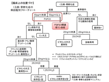 FGF23関連低リン血症性くる病・骨軟化症」の診断・治療効果判定を補助する検査を保険適用—厚労省 