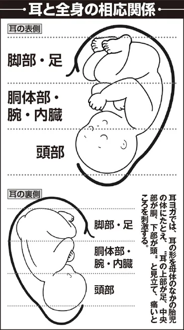 耳ヨガ」健康法