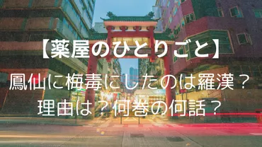 薬屋のひとりごと】鳳仙に梅毒を感染させたのは羅漢？理由は？何巻の何話？ 