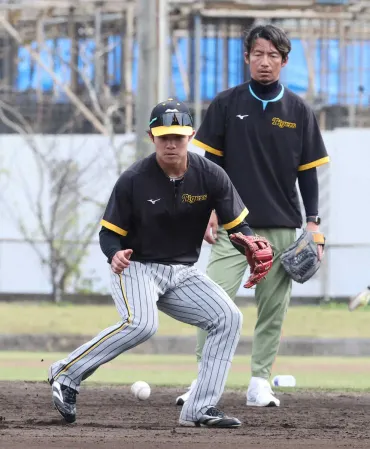 阪神・中野 「鳥谷塾」で苦手打球の克服や 来春キャンプで「名手の心得」学ぶ― スポニチ Sponichi Annex 野球