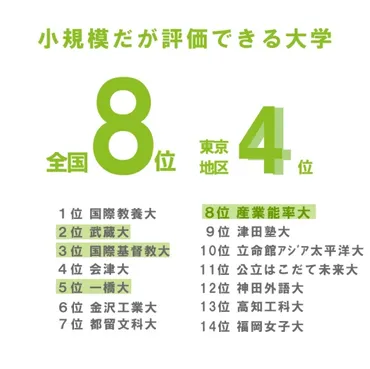 大学ランキングから見るSANNO