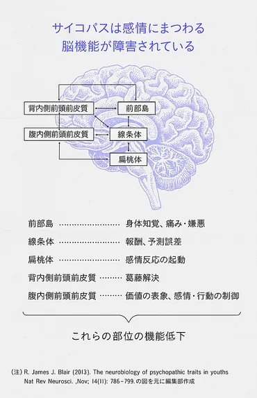 なぜ、他人を搾取するのか。サイコパスの脳と行動原理