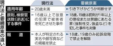 １８、１９歳の厳罰化必要？ 少年法改正への法制審原案：中日新聞Web