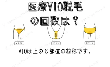 VIOの医療脱毛は何回で効果が出る？回数の目安と最速で効果を出す方法を解説 