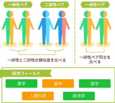 双子って、遺伝子的にすごい！一体どんな研究があるの？双子の研究とは！？