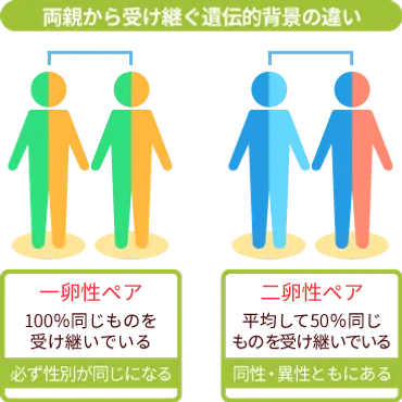 コラム】一卵性双生児と二卵性双生児 存続の危機。世界でも稀少な体系的ふたご研究基盤の存続にご支援を！（大阪大学ツインリサーチセンター  2023/05/20 投稿） 